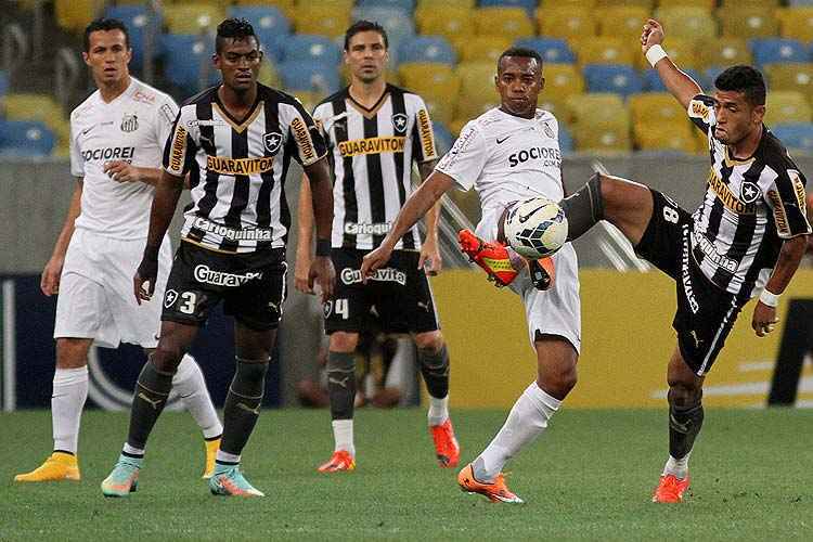 Flicker Botafogo