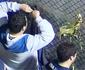 Gs de pimenta foi lanado do campo de jogo e no da arquibancada, diz imprensa argentina