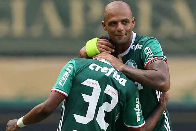 Cesar Greco/Palmeiras
