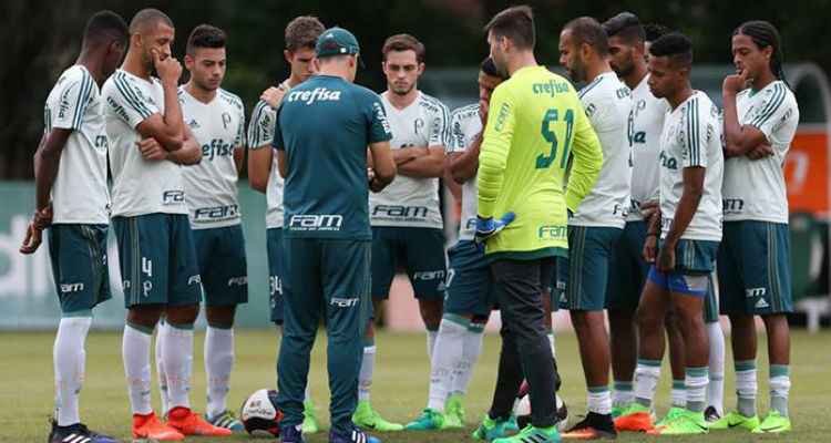 Divulgao/Site oficial do Palmeiras